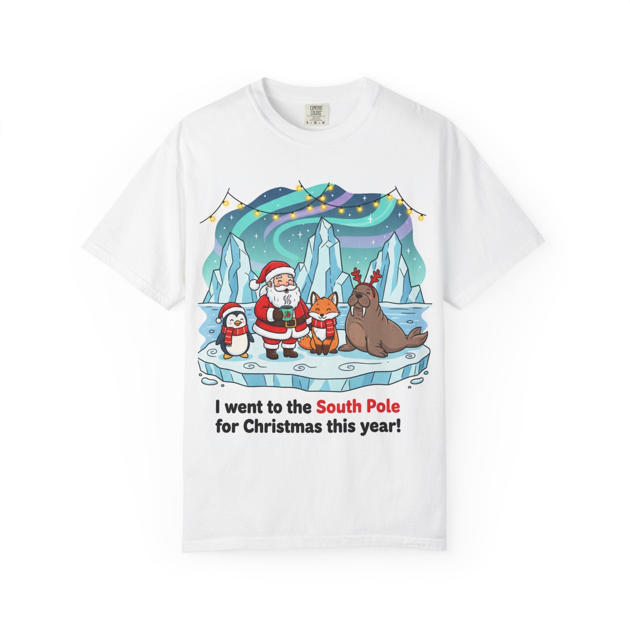 South Pole Party with Friends